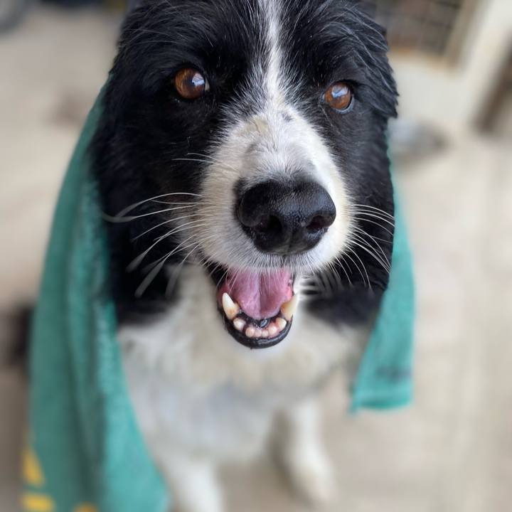 9a2730bc f4c0 4314 b713 0420241277b4 1663566931208