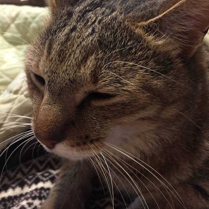 9a276a77 769a 4563 b2bd 0bba4b2420a3 1542986106772