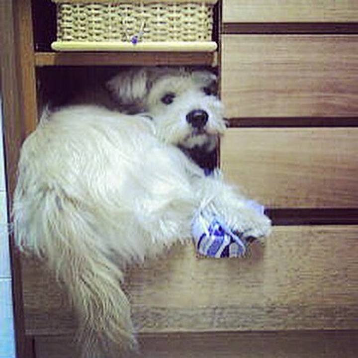 9a286cf6 3eed 4607 9d10 68606e26810a 1588832248957