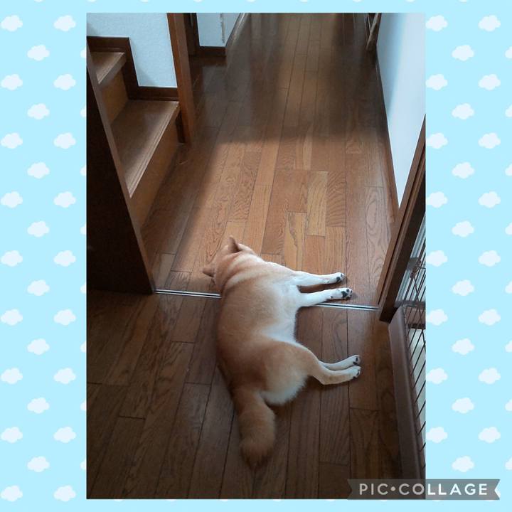 9a2873ad 88a2 416b b62d b8af252630be 1752813287587