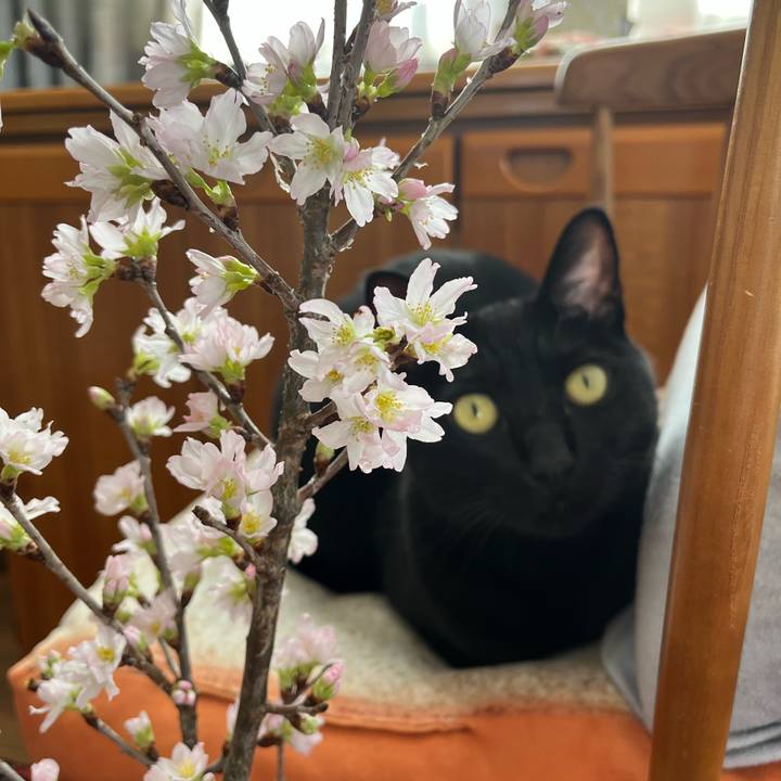 9a287668 39ff 4c4b 8f6e 97f5b1f8599a 1674091579872