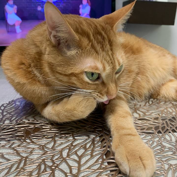 9a28abd1 bf00 4209 a80a c29886cebf89 1606948552667