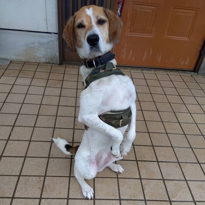 9a28b703 9c9c 4ccb a1de e4bb36ee2812 1687839001478