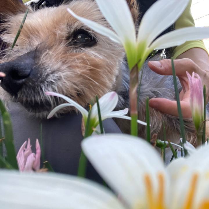 9a28db1c 729c 4a8a 85a1 4d3bc8d211a4 1697409805365