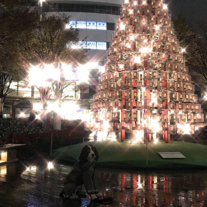 9a291910 50c9 4ac9 a719 de962ce7dd11 1511448445238