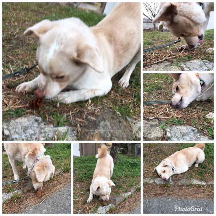 9a291c1b 7abd 4615 a285 22303c4e7fb7 1517095069460