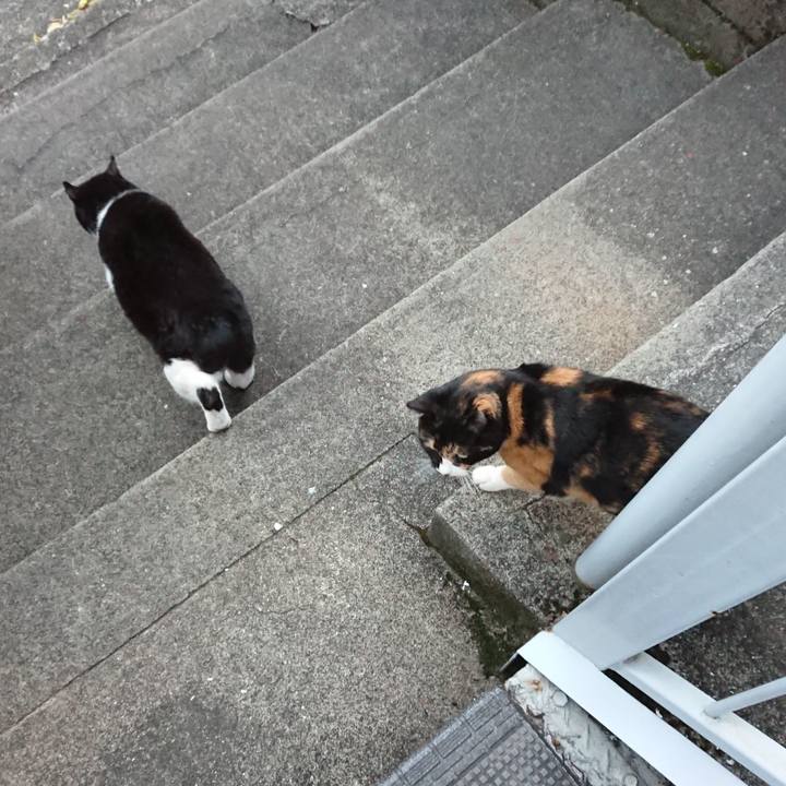 9a292a9b af13 4ac0 9c84 84a4c9702697 1605944882514