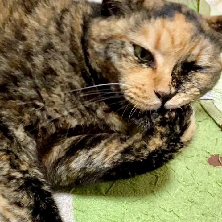 9a297e1c 119f 4933 a392 64e4ef4165a1 1729281500523