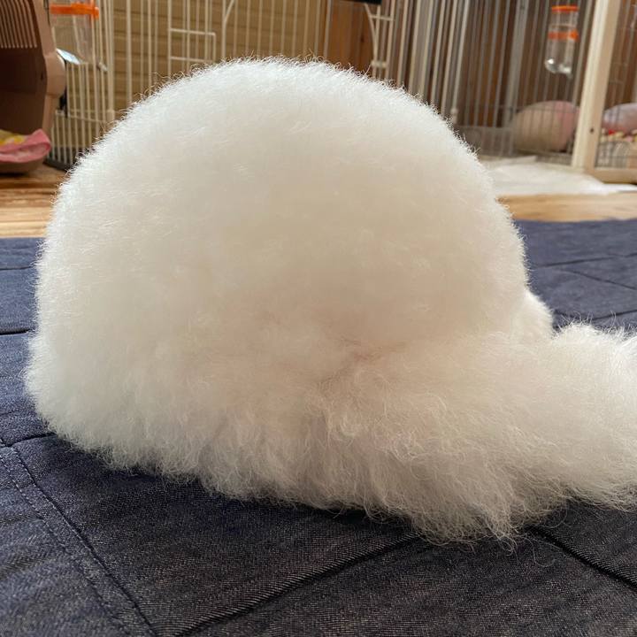 9a29a26a eb59 4485 b781 605ac03fc1da 1636264110449