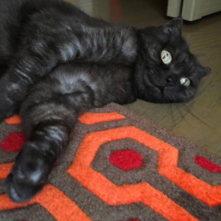 9a29acb6 d9de 49cc bffe f42d42f01794 1531902974194