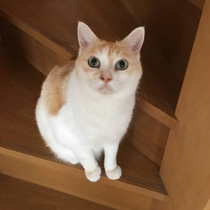 9a29beae 8616 4663 98b1 dfad5331fd80 1525315420117