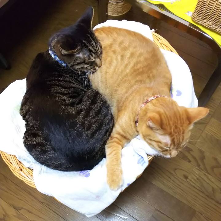 9a29d469 5627 4aa7 b77c c002bd37adc5 1558452678845