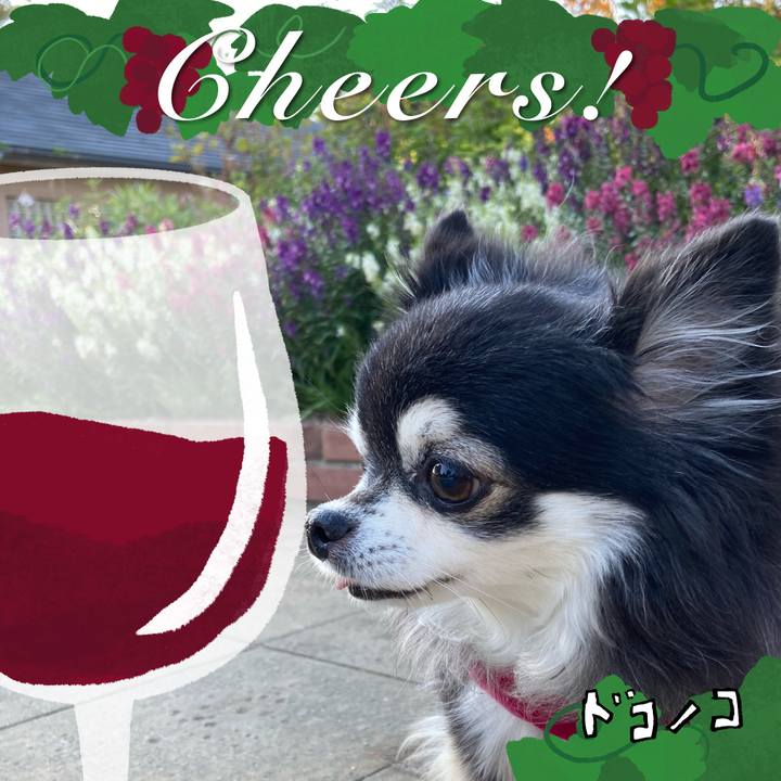 9a29f5d2 df3d 4b4e 9278 99cfd3bd7588 1763637338726