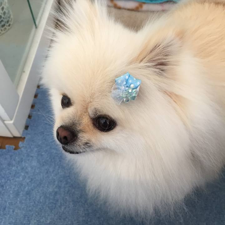 9a2a1f66 5902 4c40 adc3 8fed0792ddba 1591244480948