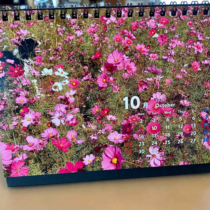 9a2a2a10 6f13 4df7 bf84 d3272aaa5b92 1696111033189