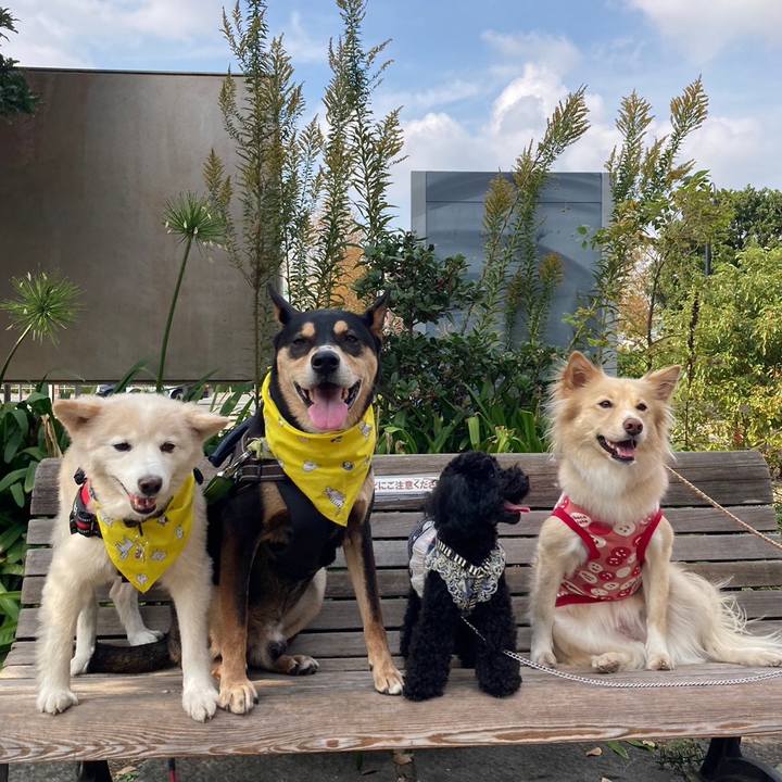 9a2a78e1 224f 4e08 bbe8 809241bfa69d 1699290185927