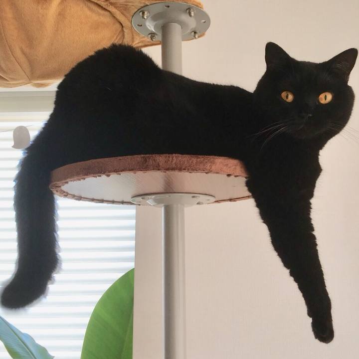 9a2a8149 6437 4c18 b75d fe6e7446b7c5 1539213105760