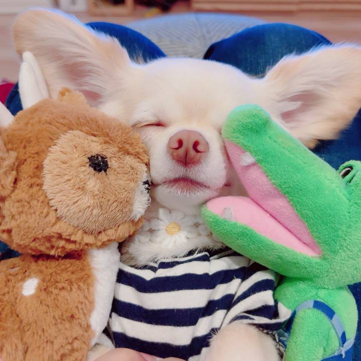 9a2ae20c 54c5 4210 a0cd fef55f422b94 1695813207205