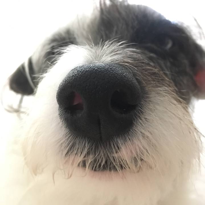 9a2b2772 b759 4f3e ad69 c9a9d120d67b 1523447504124