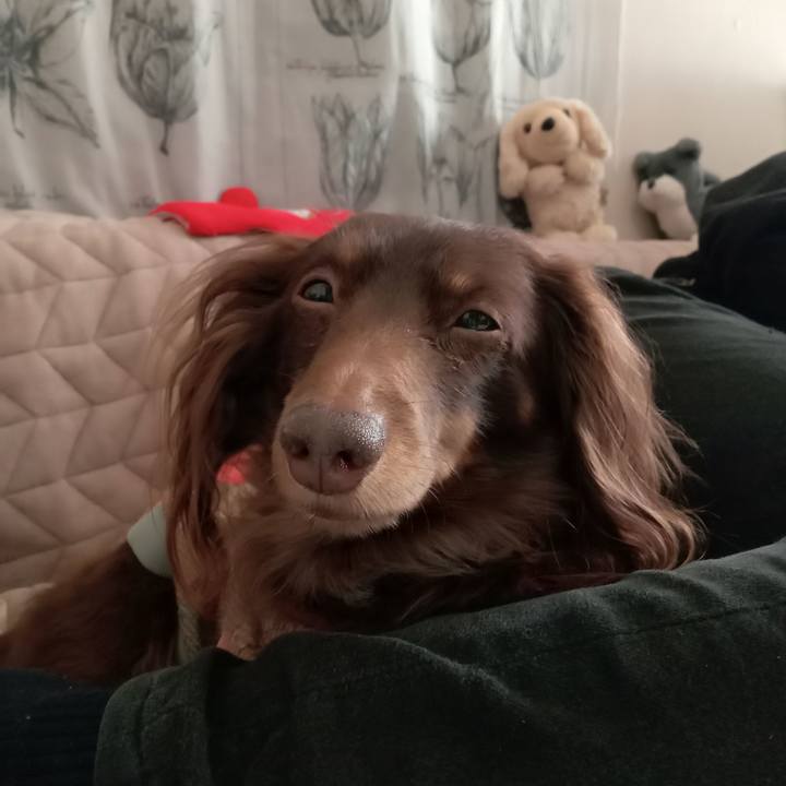 9a2b3260 465d 497c a675 331cf562e0ec 1773003900353