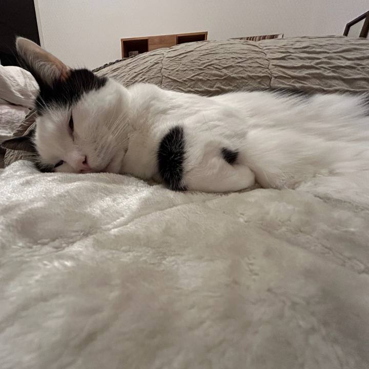 9a2b5a05 30f5 4822 bf27 95277ccb881a 1761863559441