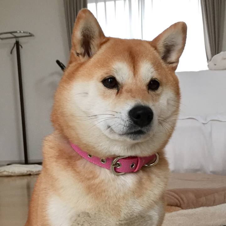 9a2b64f0 57b1 4cf5 b623 d9d40b4d8330 1519197047438