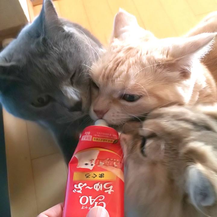 9a2bb02a ff86 4eef 90b3 5932ef9d4977 1570333961602