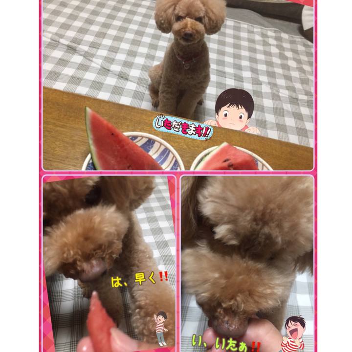 9a2bb234 2d48 48bd ad2d 9acfa141999d 1533561034434