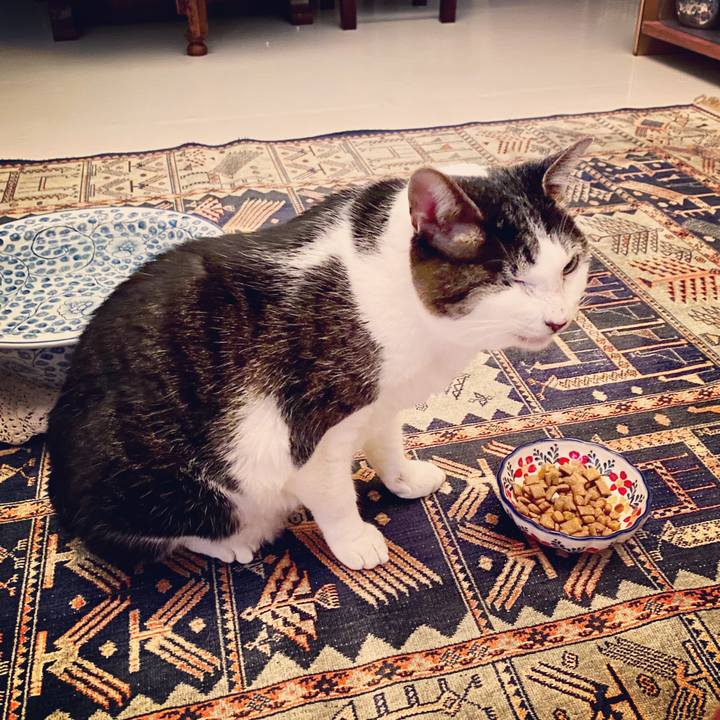 9a2bb52e 76d9 4c49 82ba bc67cd8410fb 1578834518580