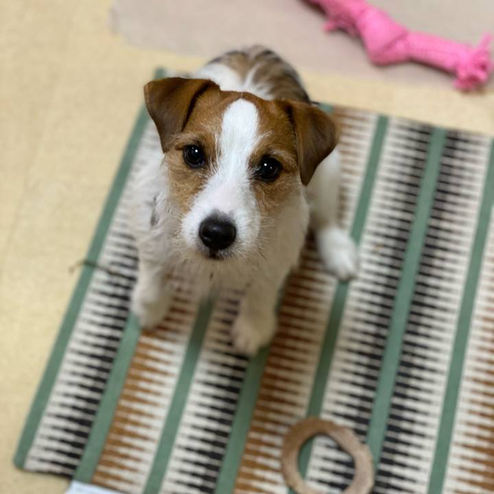 9a2bd6ee c8d5 46c0 9fa1 4e4f0e982035 1639053813150