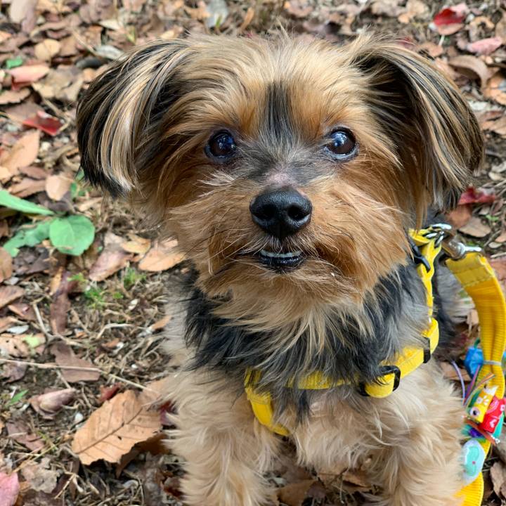 9a2bdfca 1e72 411f 90f8 3f40faa35382 1636346655980