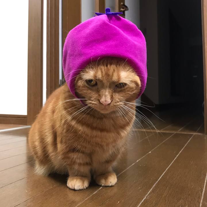 9a2bf8a6 e2ef 450a aa5b 69496652f380 1570364617759