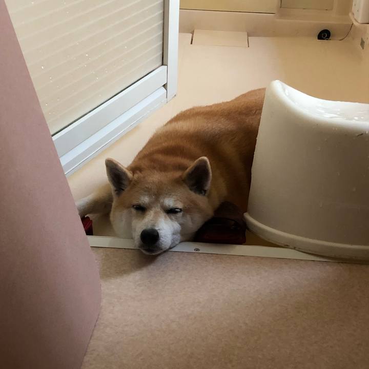 9a2c5571 6363 4858 ad6e fbc62883e7dd 1568034539817