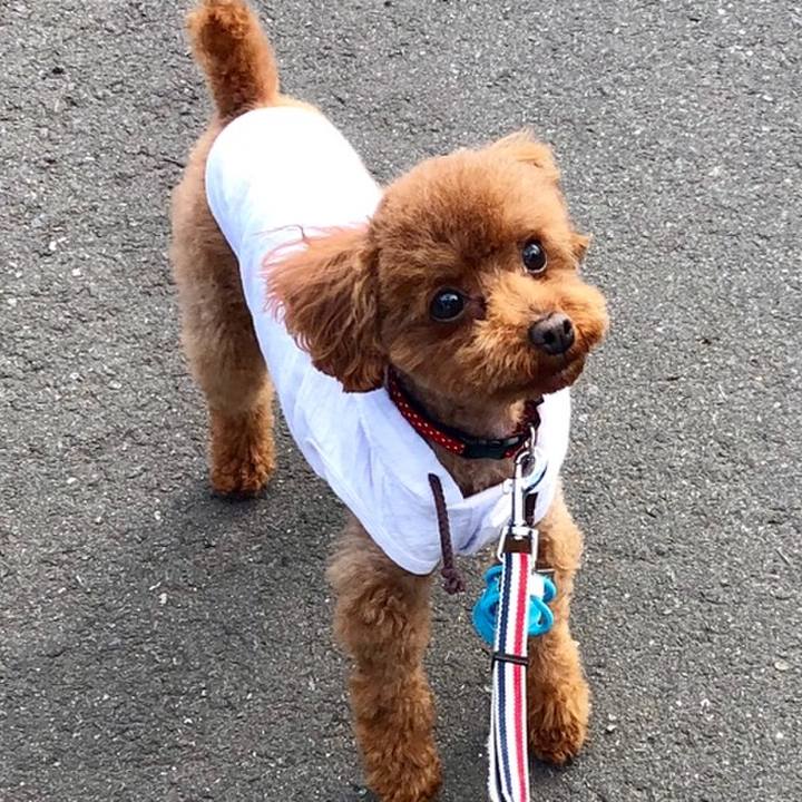 9a2c6b9e c509 47d2 9290 1a0764409ee9 1558224408145