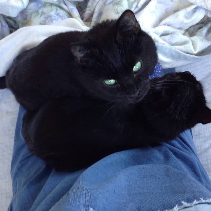 9a2c7440 b69a 4f11 912b 4f61a7f939d2 1551505214718