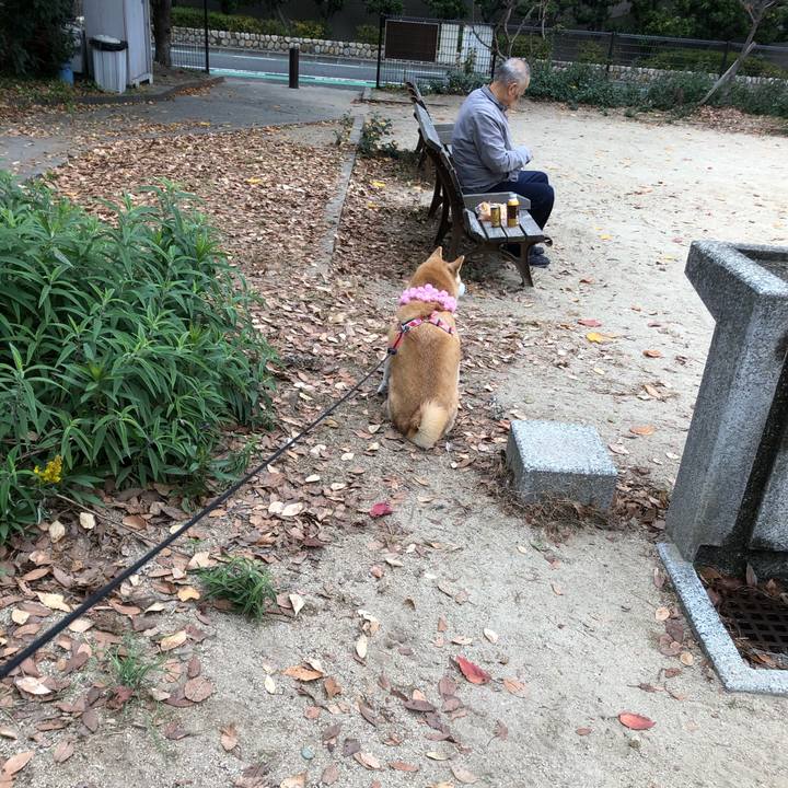 9a2c8c22 4557 40dd 9849 aaf92eafe3ab 1608039894781