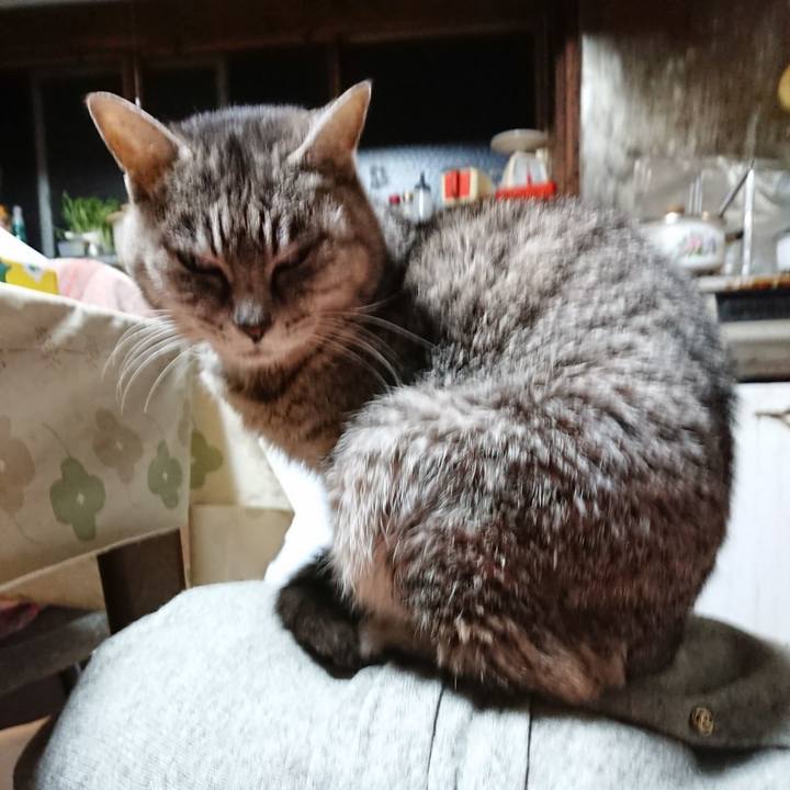 9a2c9df3 281d 492b a8d4 1b875d5384c9 1577997481468