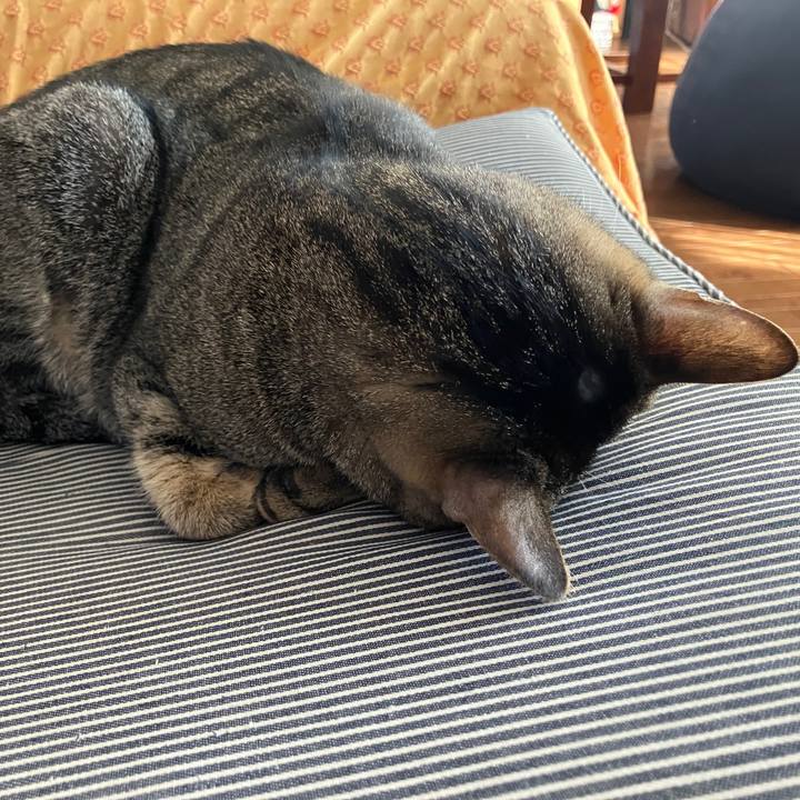 9a2cede2 33fc 427c a06e 18318f1482ce 1767065399864