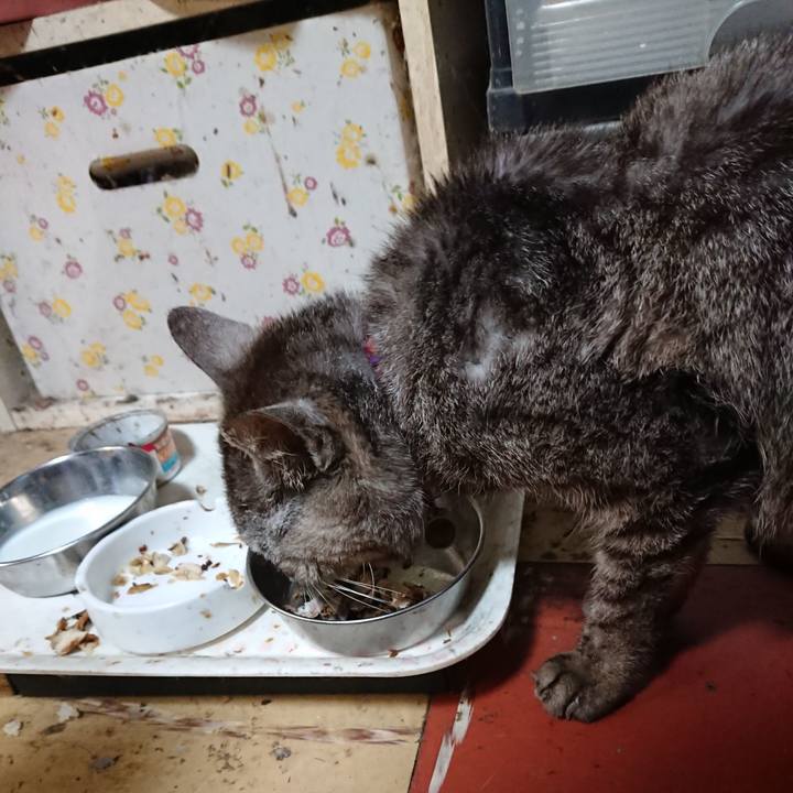 9a2d127c 9077 4805 bfc5 ef764da4713a 1596579754238