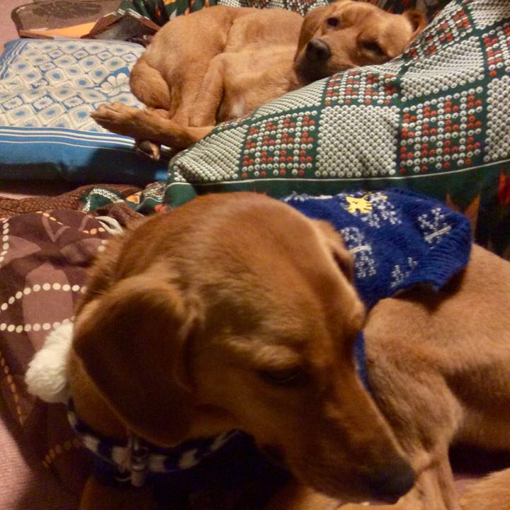 9a2d52a3 5e1d 4075 82d0 4e8ff446b573 1513740109811