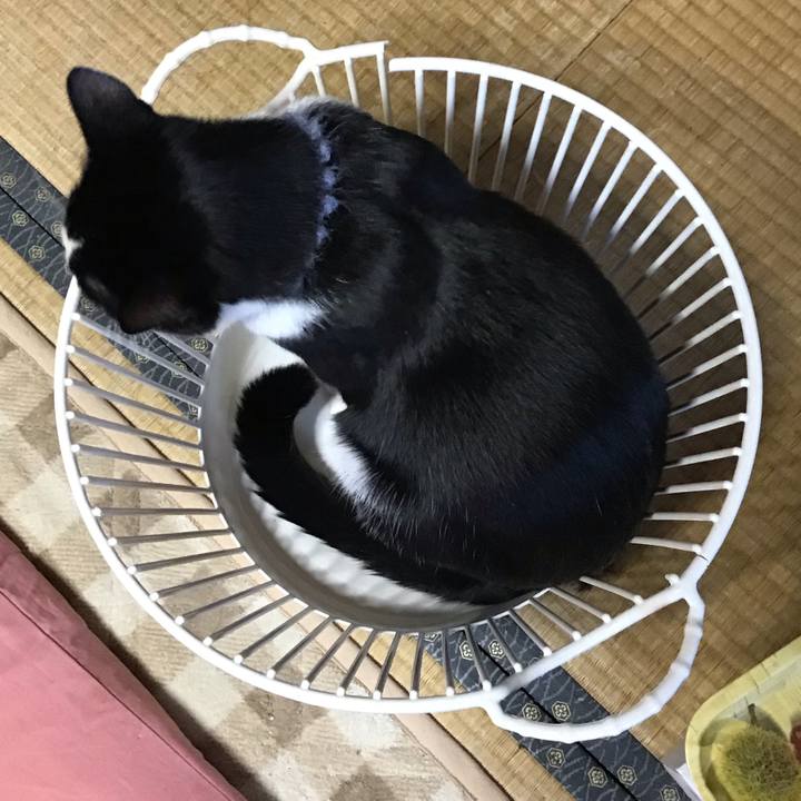 9a2d82a3 c8e7 4e60 bde9 e184a59112c0 1641337785057