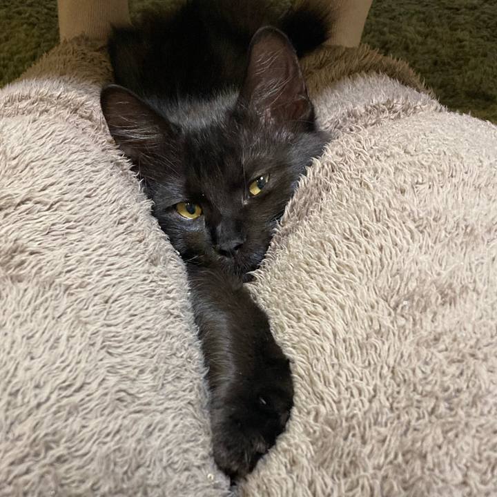 9a2d91bd 8a32 42c8 8f29 76591977b13f 1705316250933