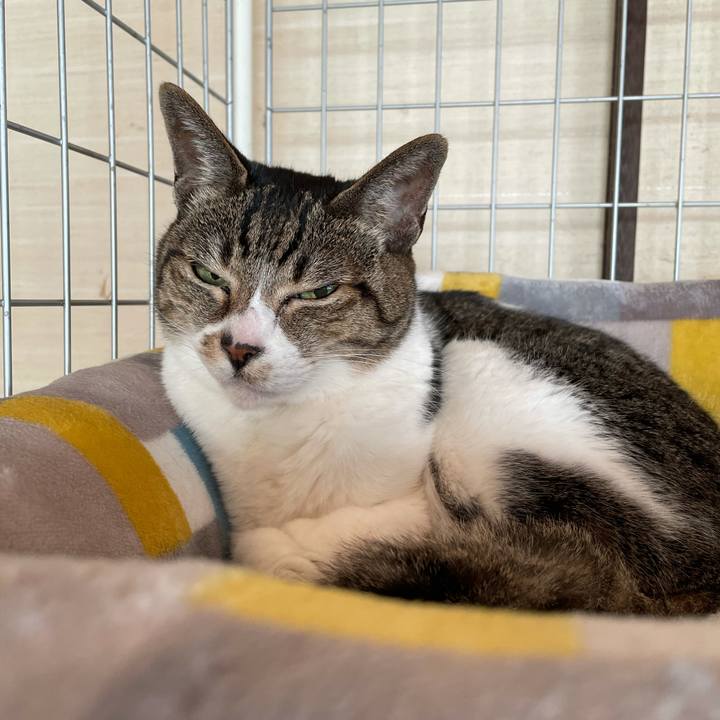 9a2daaf5 de8f 469c 9f5b 3e75ed724e9b 1611711715726