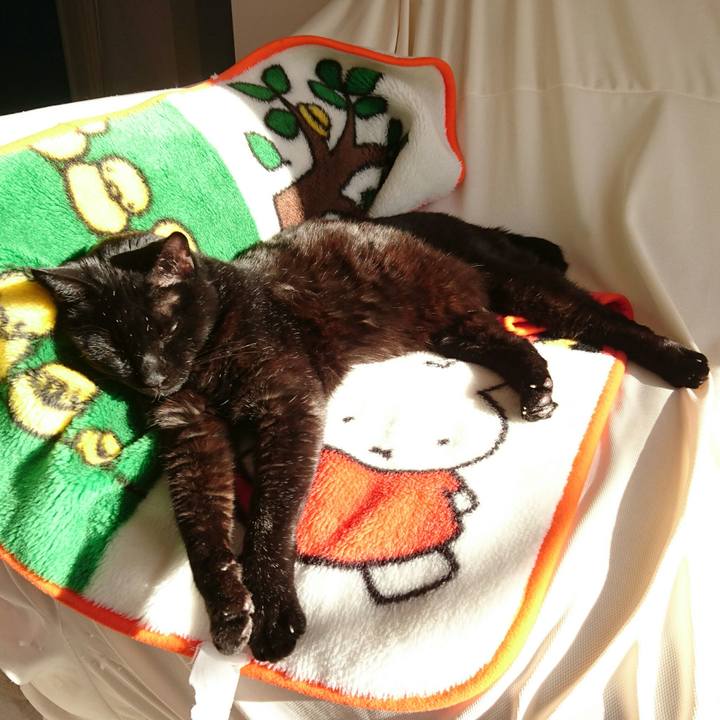 9a2db219 9d42 40db 8d0c 25f9cc624adc 1513244699710