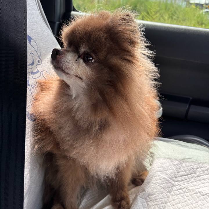 9a2dc716 abf0 4776 b9ac 6bbd2323ec42 1756938830708