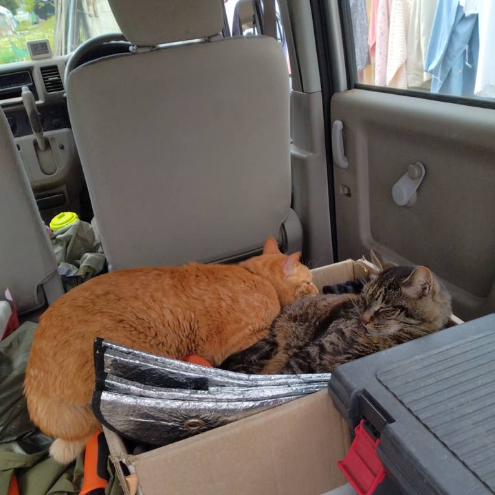 9a2dd1bc 2c9e 4b11 9b16 3f212fdc9b9b 1747303152633