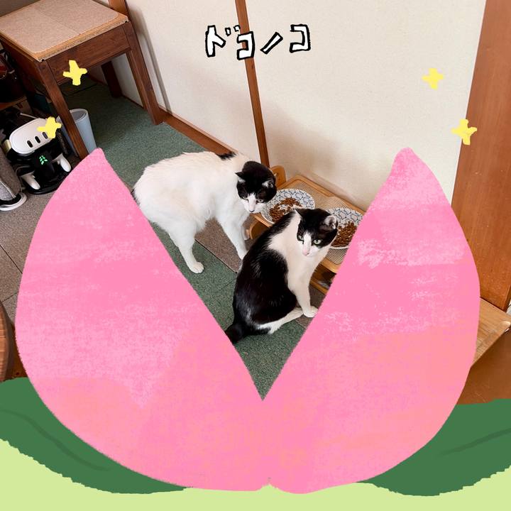 9a2dd7e2 cab8 42ed 9239 999b19789e05 1772257920464