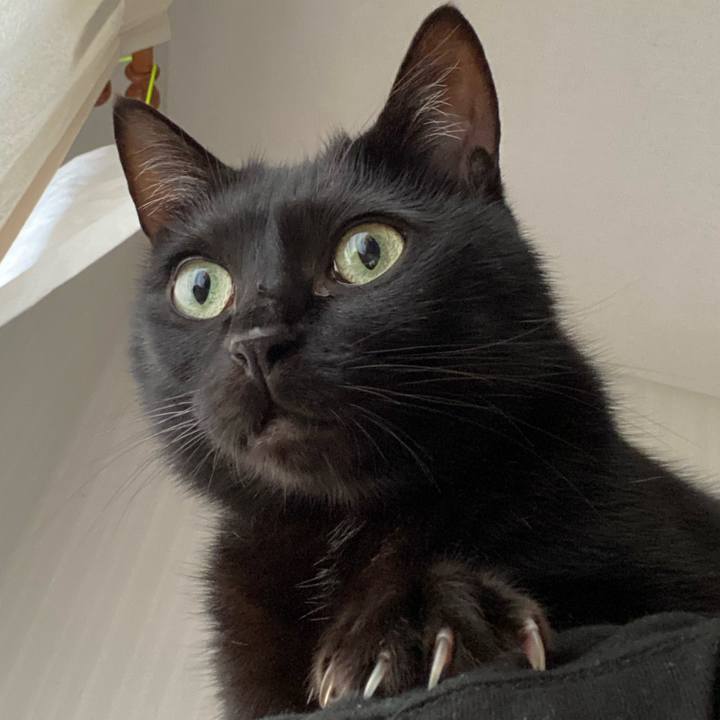 9a2dea72 8852 42d2 89a3 059edbf53ada 1686136614472