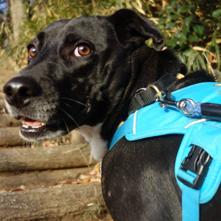 9a2ded9d 6a23 41a0 b7bd 3d389c22ec0a 1607991490603