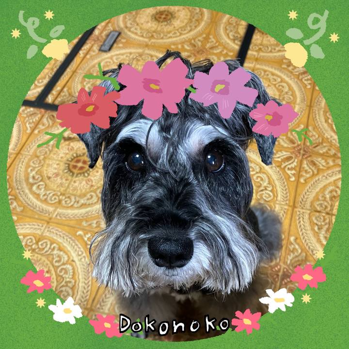 9a2e65a0 cc58 4a69 a2bb 67ea353af26c 1727012394174